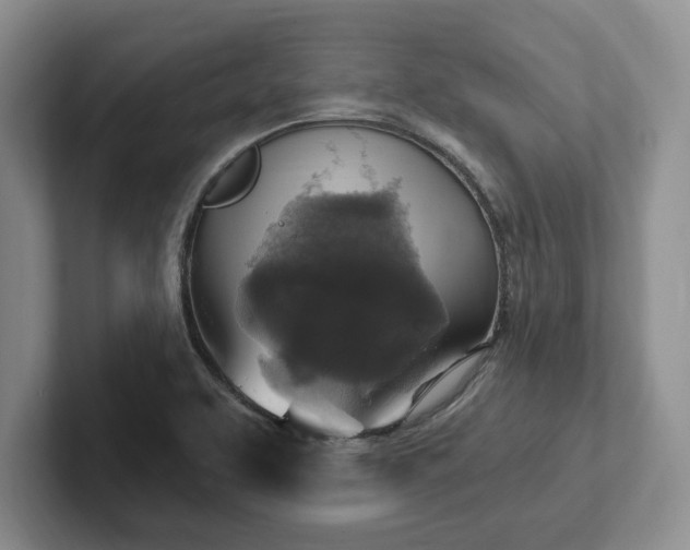 X0000102411463200808081315