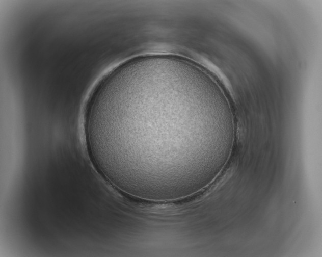 X0000102411464200808081315