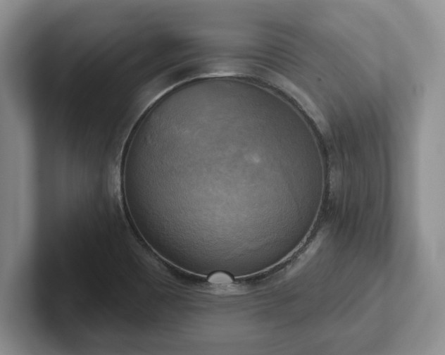 X0000102411465200808081315