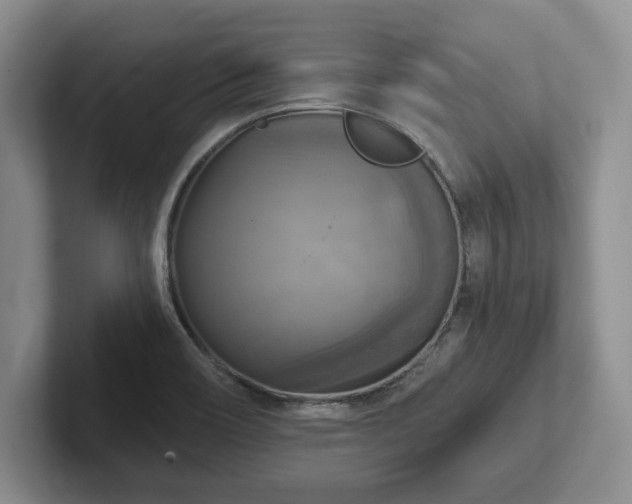 X0000102411466200808081315