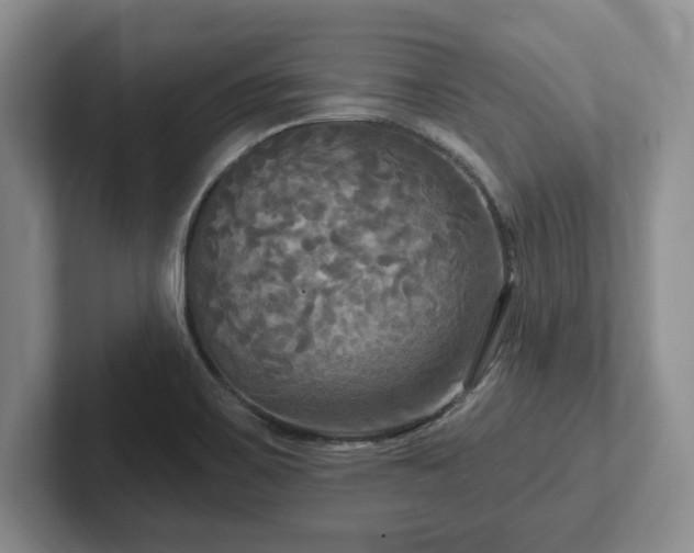 X0000102411467200808081315