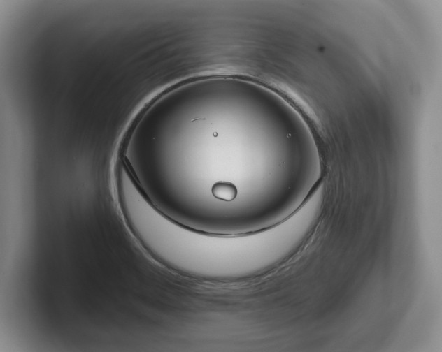 X0000102411468200808081315