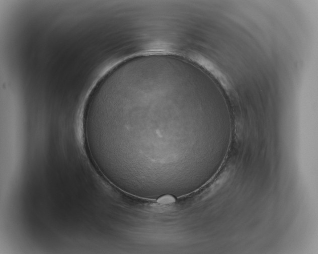 X0000102411469200808081315