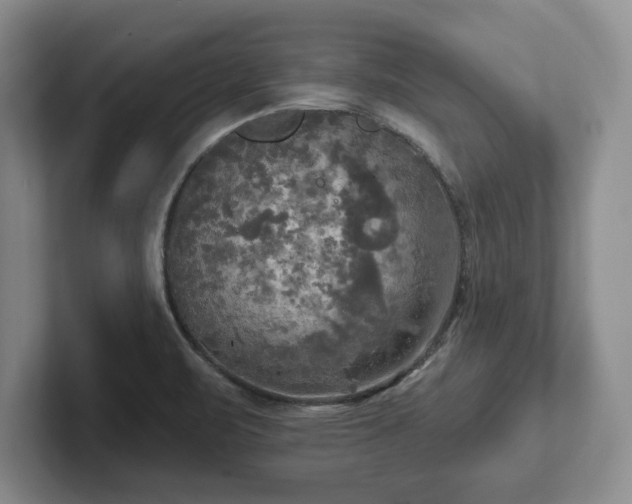 X0000102411471200808081315