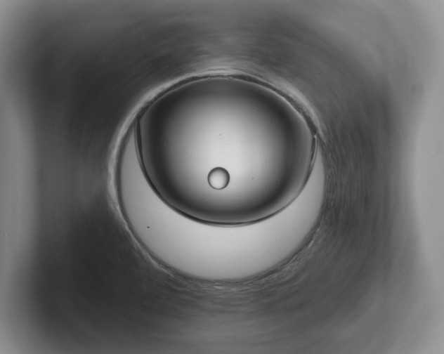 X0000102411472200808081314