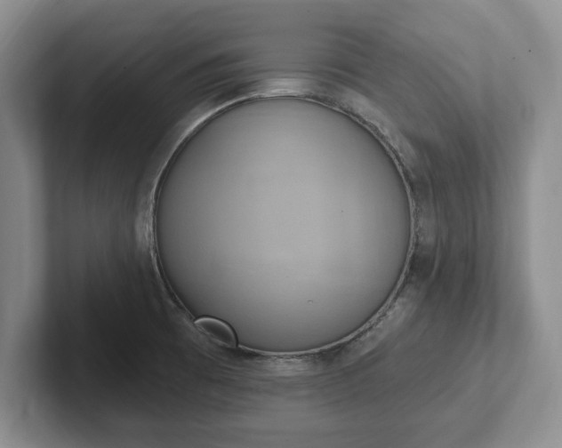 X0000102411473200808081314