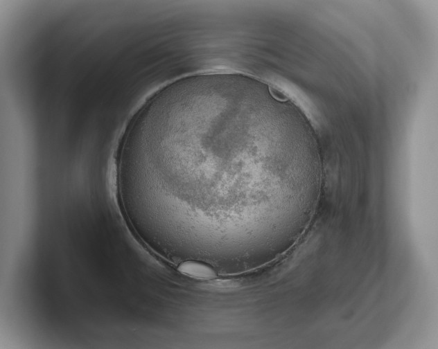 X0000102411476200808081314