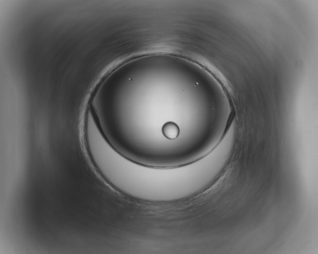 X0000102411477200808081314