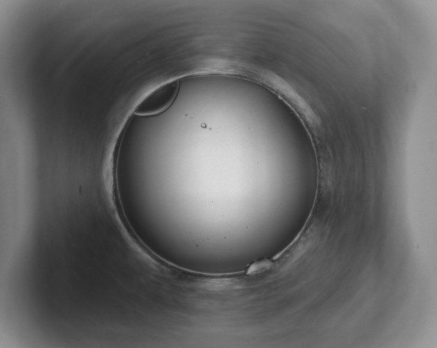 X0000102411479200808081314