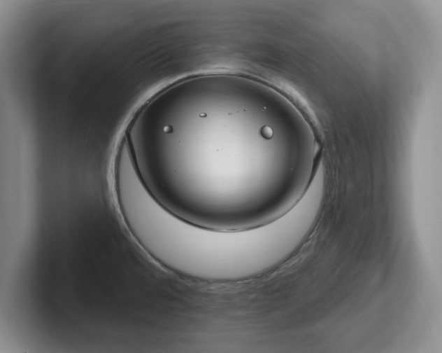 X0000102411480200808081314