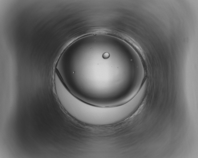 X0000102411481200808081314