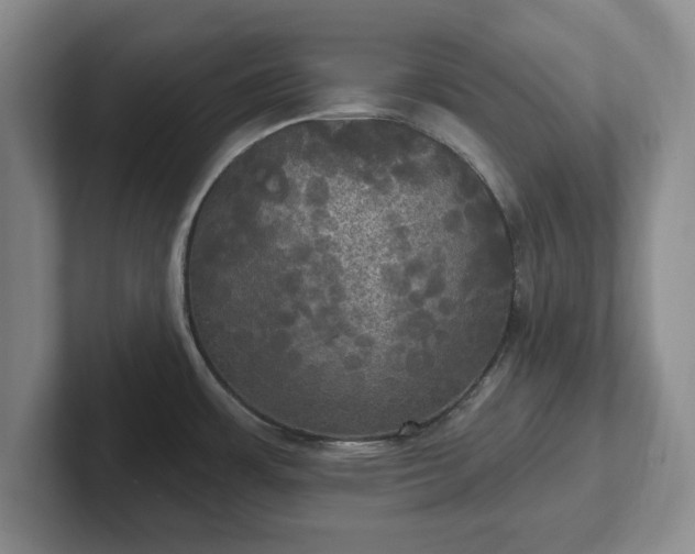 X0000102411483200808081314