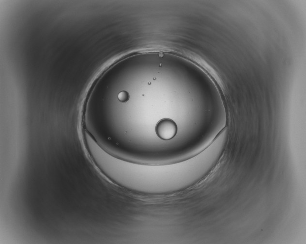 X0000102411485200808081314