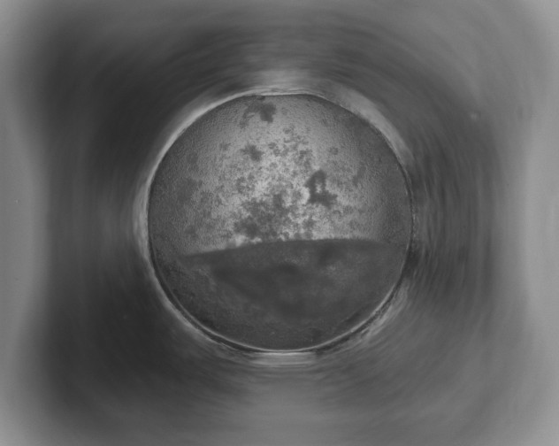 X0000102411487200808081314