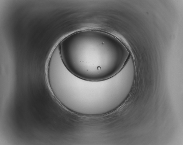 X0000102411488200808081314