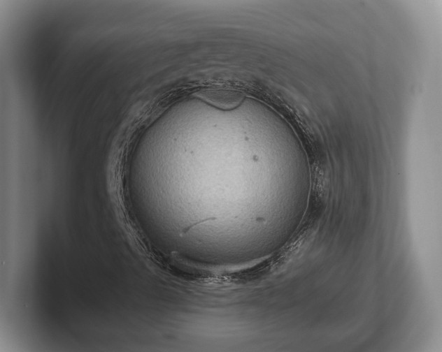 X0000102411489200808081314