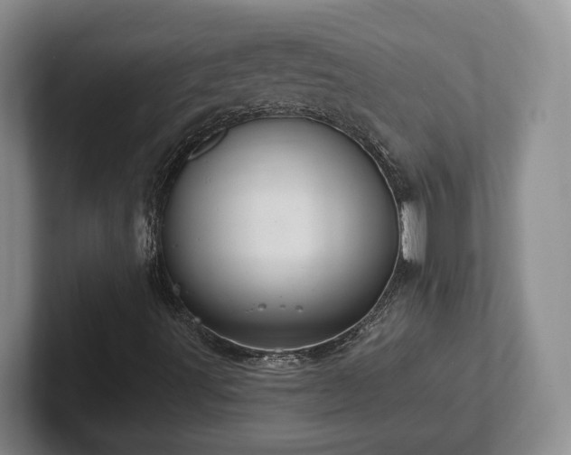 X0000102411491200808081314