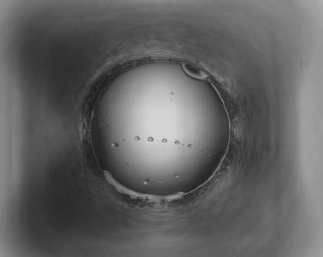 X0000102411495200808081314