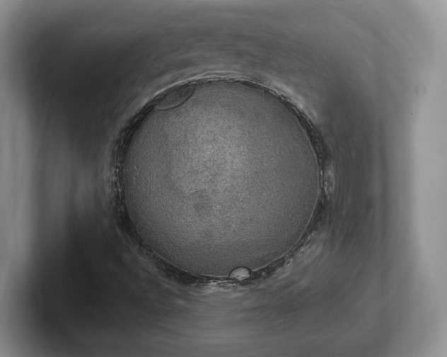 X0000102411496200808081314