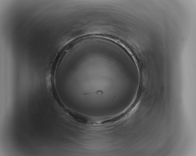 X0000102411497200808081314