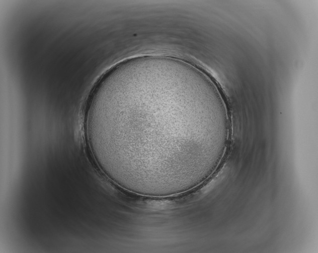 X0000102411498200808081314