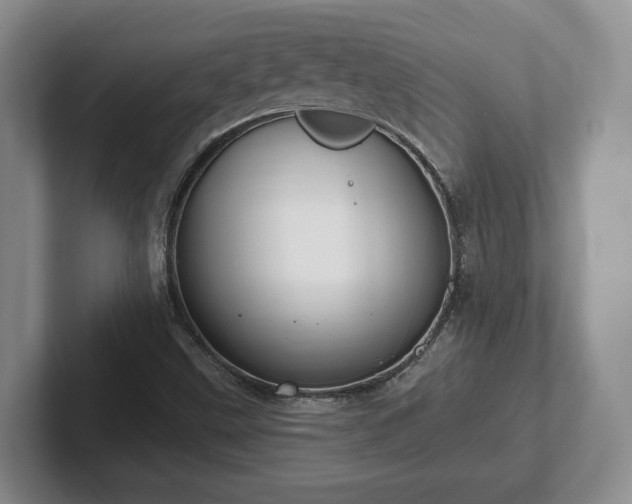 X0000102411499200808081314