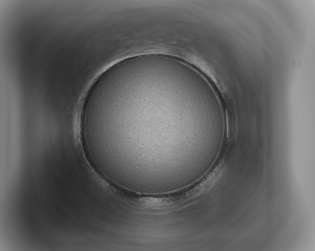 X0000102411500200808081314