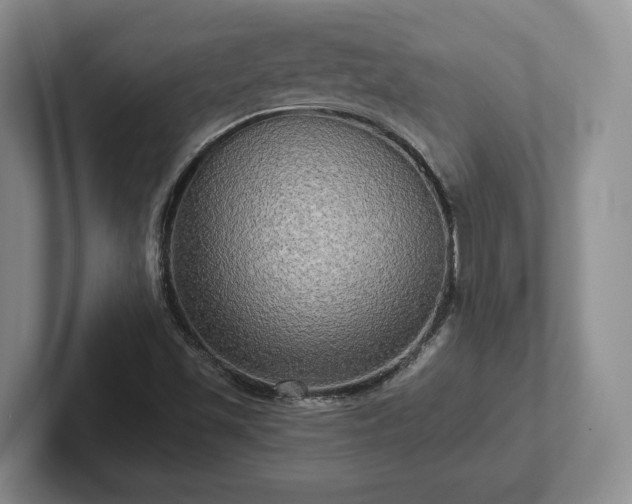 X0000102411501200808081314