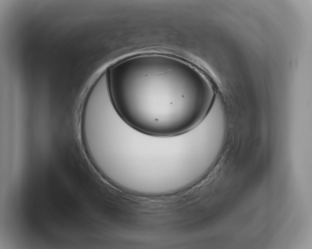 X0000102411504200808081314