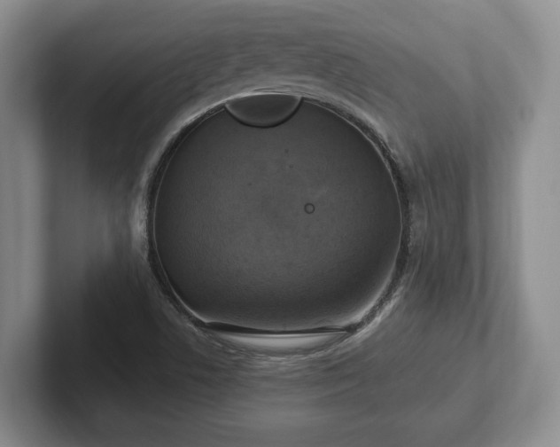 X0000102411506200808081314