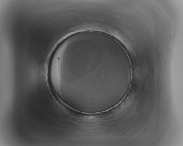 X0000102411508200808081314