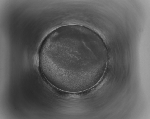 X0000102411509200808081314