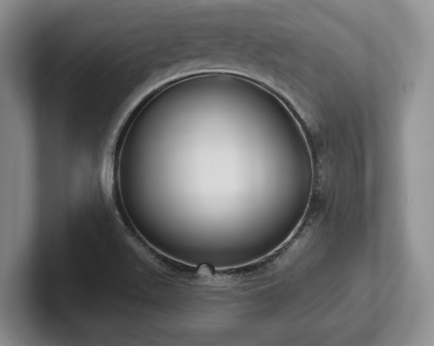 X0000102411511200808081314