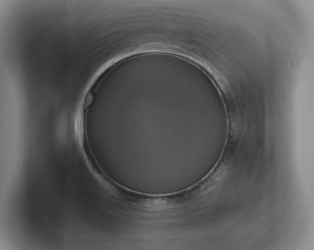 X0000102411515200808081314