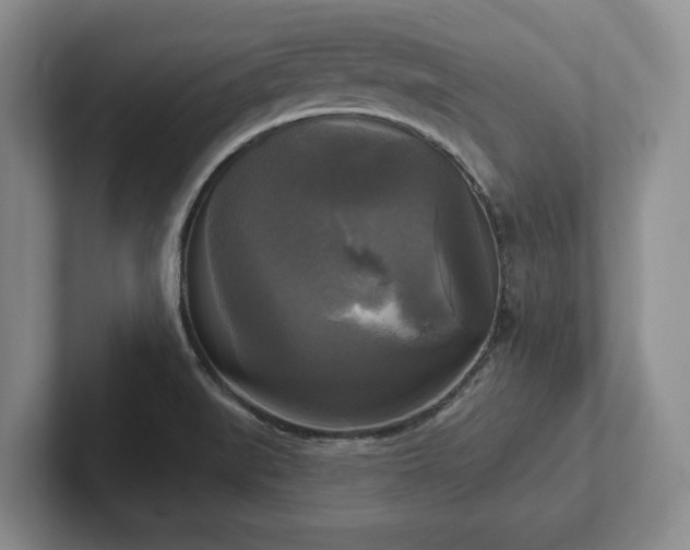 X0000102411519200808081314