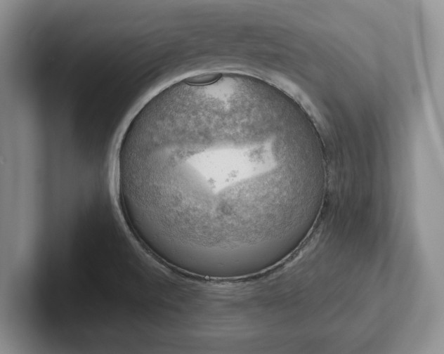 X0000102411520200808081314