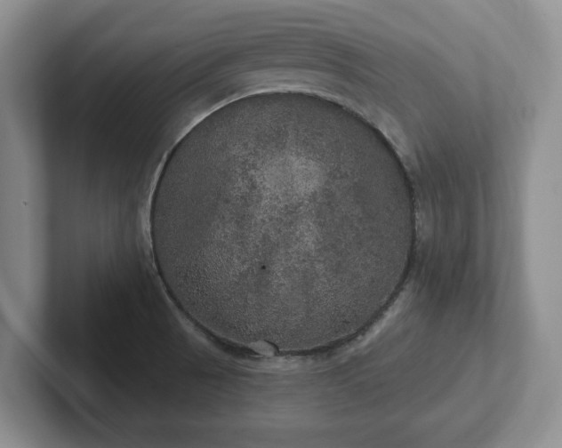 X0000102411521200808081314