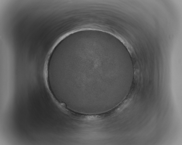 X0000102411523200808081314