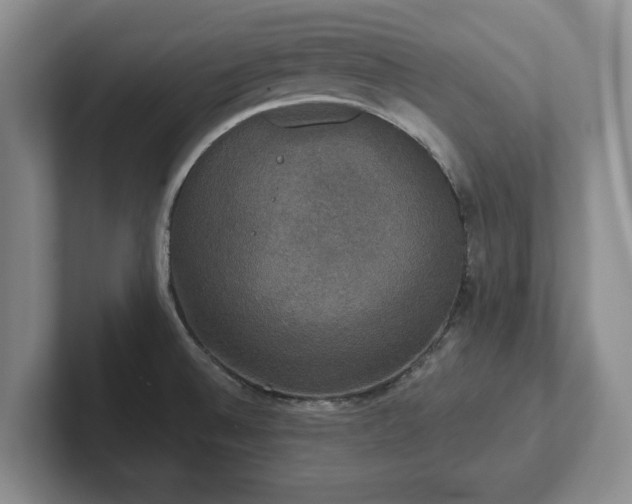 X0000102411524200808081314