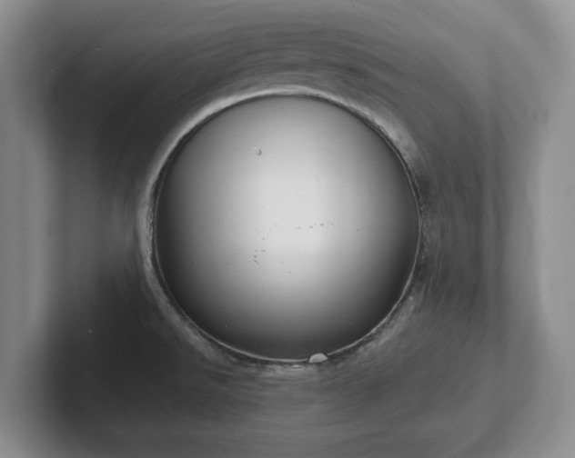 X0000102411526200808081314