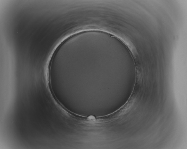 X0000102411527200808081314