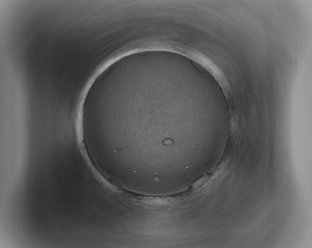 X0000102411528200808081314