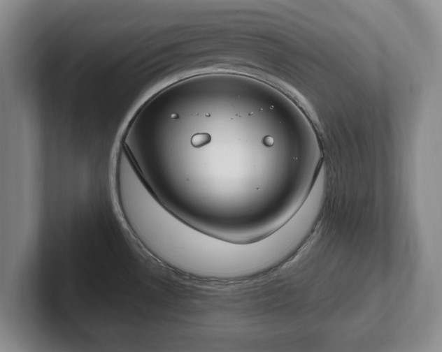 X0000102411530200808081314