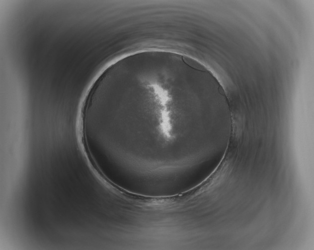 X0000102411531200808081314