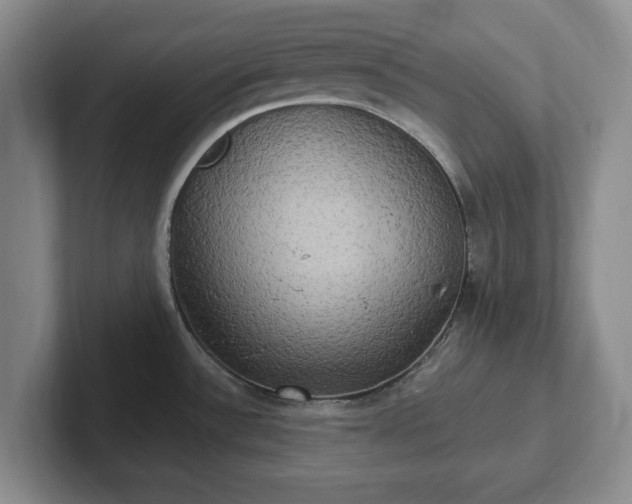 X0000102411532200808081314