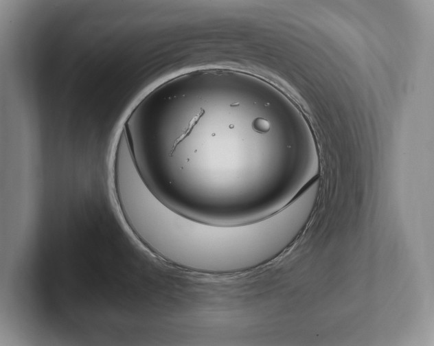 X0000102411536200808081314