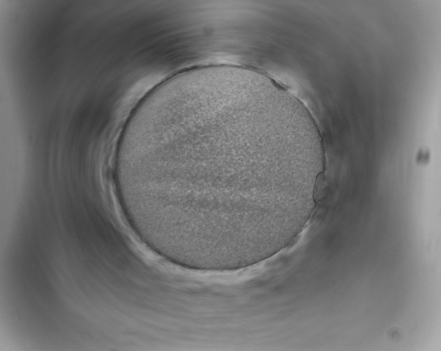 X0000102410001200808152016