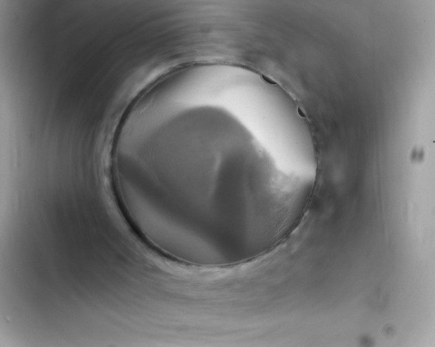 X0000102410002200808152016