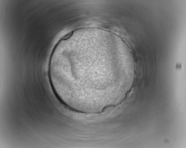 X0000102410003200808152016