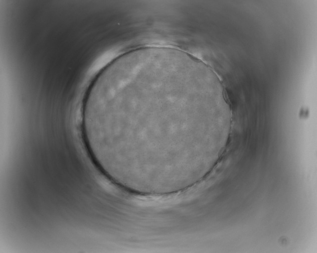 X0000102410005200808152016